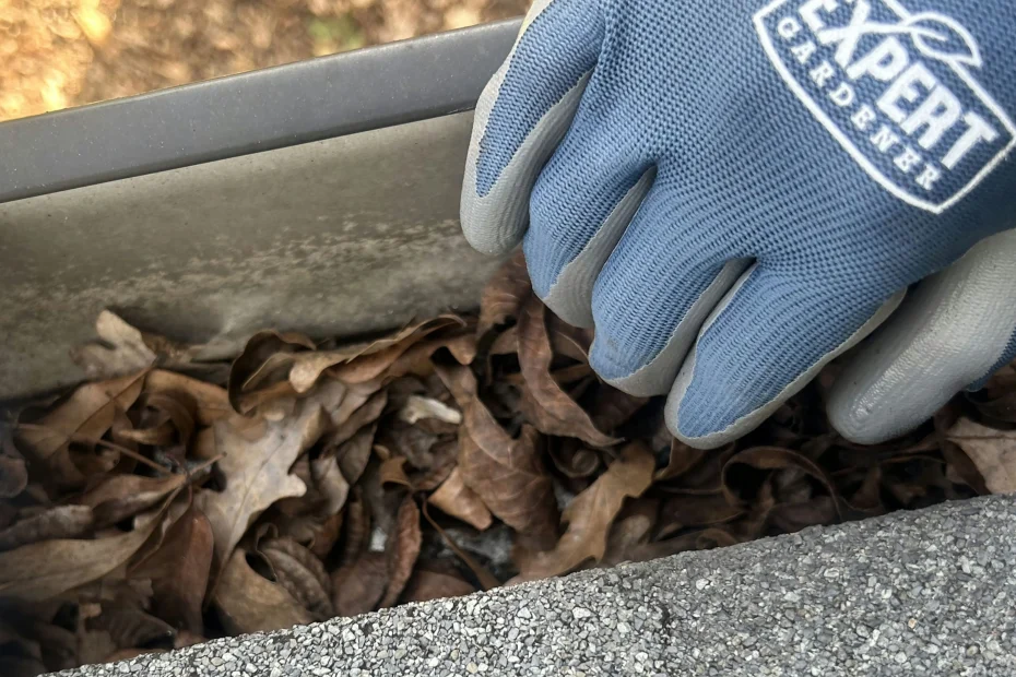 Gutter Cleaning Catonsville