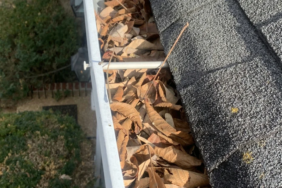 Gutter Cleaning Catonsville