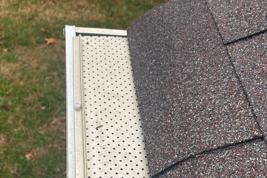 Gutter Cleaning Catonsville