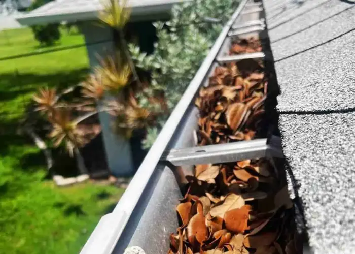 Gutter Cleaning Catonsville home page